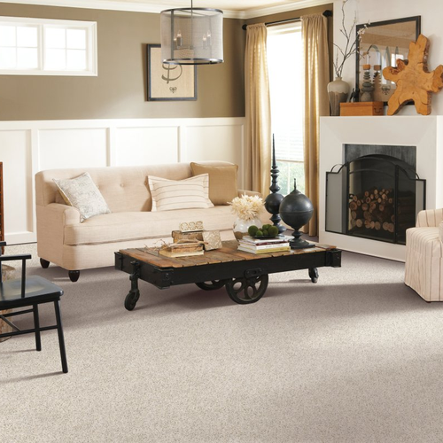 Absolute Floor Covering carpet in Western Michigan- Restful Style-Catalina