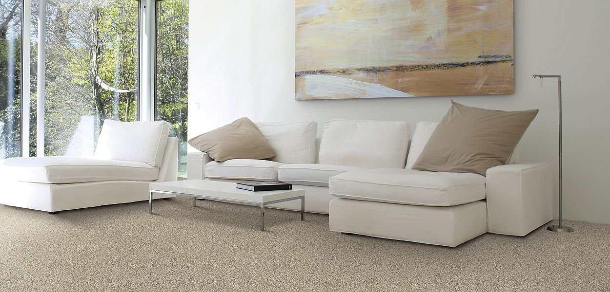 Light beige carpet flooring in a living room