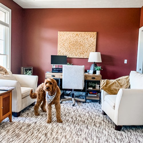 Pet-friendly carpet in Wayland, MI from Absolute Floor Covering