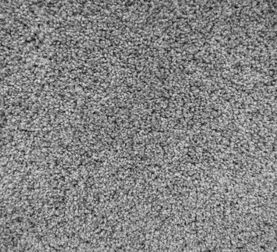 Absolute Floor Covering Carpet Flooring